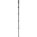 BENRO Adventure Monopod Serie 4 - MAD49A