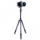 VANGUARD Tripode Carbono Vesta Tb 204CB