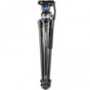 BENRO Tripode Video Aluminio A373FBS8PRO