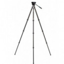 BENRO Kit Trípode Tortuga 24CLV 4 Secciones Carbono + Cabezal S4PRO