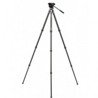 BENRO Kit Trípode Tortuga 24CLV 4 Secciones Carbono + Cabezal S4PRO