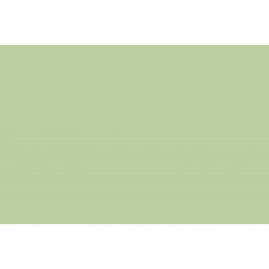 Fondo SUPERIOR 2.75M X 11M Tropical Green