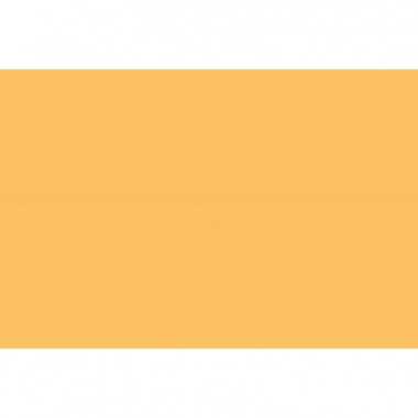 Fondo SUPERIOR 2.75M X 11M Ref. 428 Buff