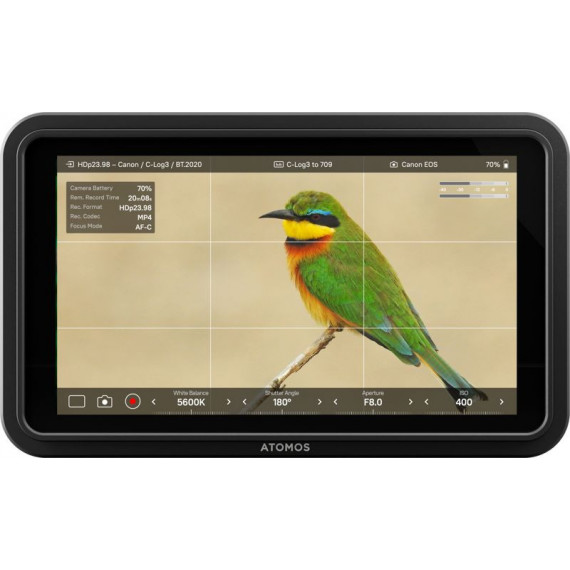 ATOMOS Monitor Shinobi Ii