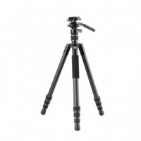 VANGUARD Vesta Go 264CV12