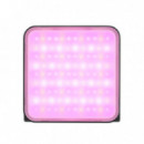 ZHIYUN Foco Led M20C Rgb