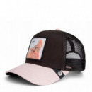 Gorra The Sphynx  GOORIN BROS