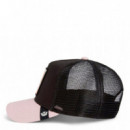 Gorra The Sphynx  GOORIN BROS