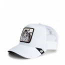 Gorra Tiger Trucker  GOORIN BROS