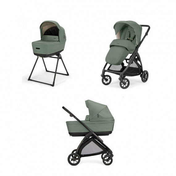 Duo Electa Murray Green (total Black Frame)