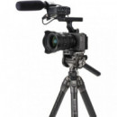 BENRO Kit Tripode Video Tortoise 24CF Carbono + FS36PRO