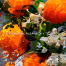 Aqua Allegoria Mandarine Basilic Eau de Toilette
estuche  GUERLAIN