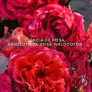 Aqua Allegoria Forte Rosa Rossa Eau de Parfum
estuche  GUERLAIN