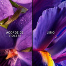 Insolence Eau de Parfum
estuche  GUERLAIN