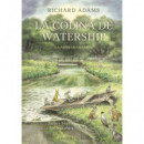 la Colina de Watership   2025