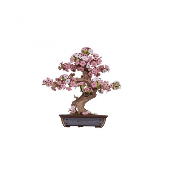 Maqueta Bonsai de Sakura  ROLIFE