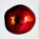 Solo Ella Eau de Parfum 
estuche  LOEWE