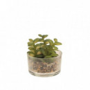 Terraza Y Jardín Planta 3555811