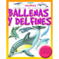Ballenas y Delfines