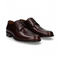 Blucher Marron  SERGIO SERRANO