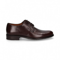 Blucher Marron  SERGIO SERRANO
