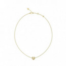 Till Morning Dorado  GUESS