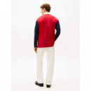 Ls Rwb Blocking Polo Desert Sky  TOMMY HILFIGER