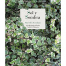 Sol y Sombra   2025