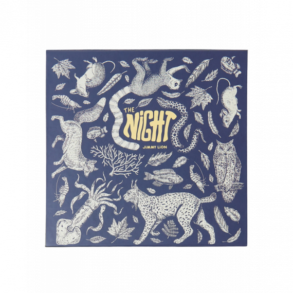 Pack de 4 Calcetines JIMMY LION Night