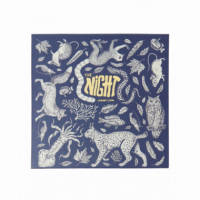 Pack de 4 Calcetines JIMMY LION Night