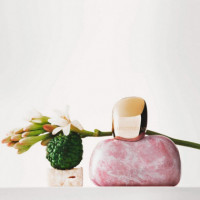 Rose Quartz  ARISTOCRAZY