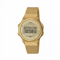 Reloj CASIO A171WEMG-9AEF