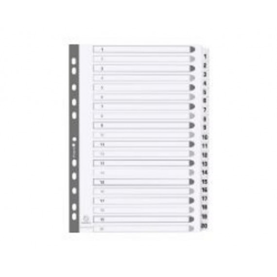 Separador Exacompta Cartulina Blanca A4, 20 Posiciones