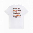 Camisetas Hombre Camiseta OLOW Together Crudo