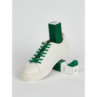 Cordones SLIWILS Cool Verde Liso