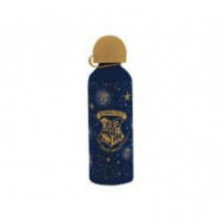 Botella Deportiva Harry Potter Hogwarts 600ML KIDS LICENSING