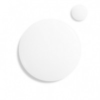 SHISEIDO Ultimune 30 Ultimune Power Infusing Concent 30, 75ML