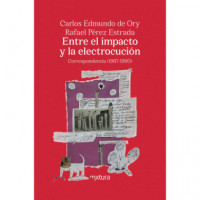 entre el Impacto y la Electrocucion   2025 - Guanxe Atlantic Marketplace