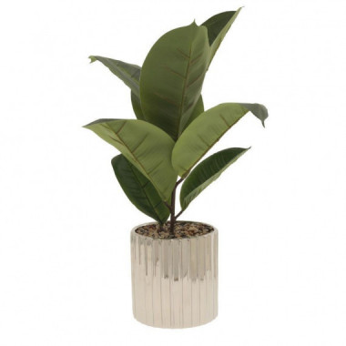 Terraza Y Jardín Planta 3513430