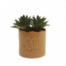 Terraza Y Jardín Planta 3513428