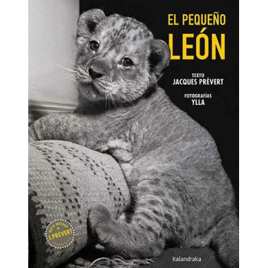EL PEQUEÃ‘O LEON