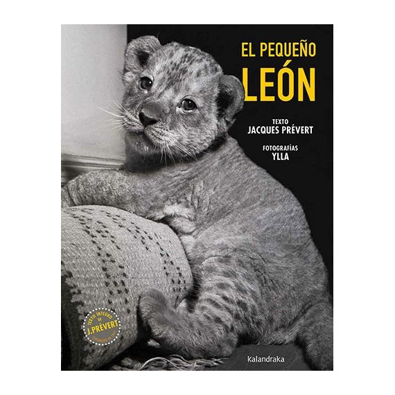 EL PEQUEÃO LEON