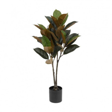 Terraza Y Jardín Planta 3513389