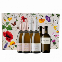 Estuche Raventós 6 botellas (2 De Nit + 2 Blanc de Blancs + 2 Xarel-lo)