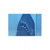 Figura con Luz Póster 3D Cartel de Tiburón  SD TOYS MERCHANDISING