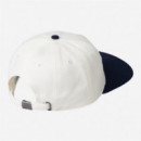 Gorra CARHARTT WIP Wild dog