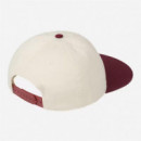 Gorra CARHARTT WIP Alston