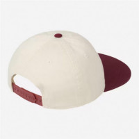 Gorra CARHARTT Wip Alston