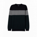 Jerséis y Sudaderas Jersey TIFFOSI Jason Verde