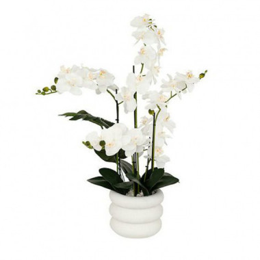 Terraza Y Jardín Planta 3513426